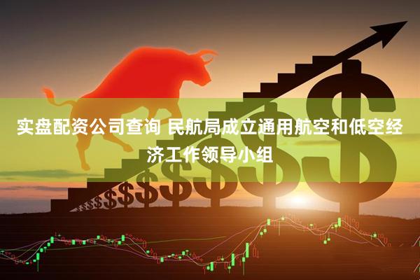 实盘配资公司查询 民航局成立通用航空和低空经济工作领导小组