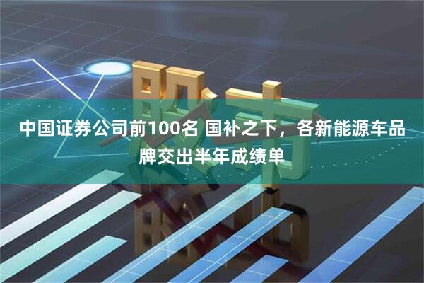 中国证券公司前100名 国补之下，各新能源车品牌交出半年成绩单