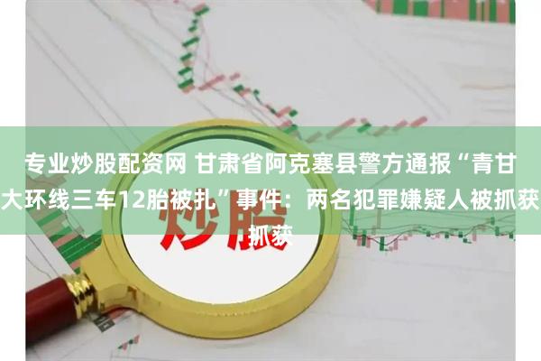 专业炒股配资网 甘肃省阿克塞县警方通报“青甘大环线三车12胎被扎”事件：两名犯罪嫌疑人被抓获