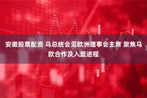 安徽股票配资 乌总统会见欧洲理事会主席 聚焦乌欧合作及入盟进程
