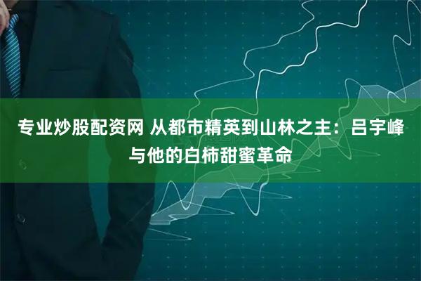 专业炒股配资网 从都市精英到山林之主：吕宇峰与他的白柿甜蜜革命