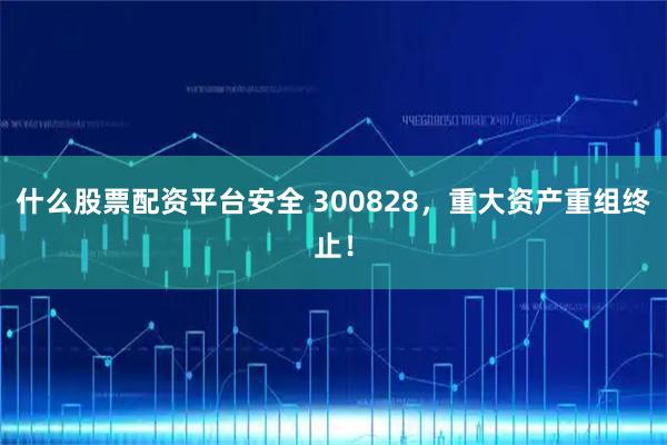 什么股票配资平台安全 300828，重大资产重组终止！